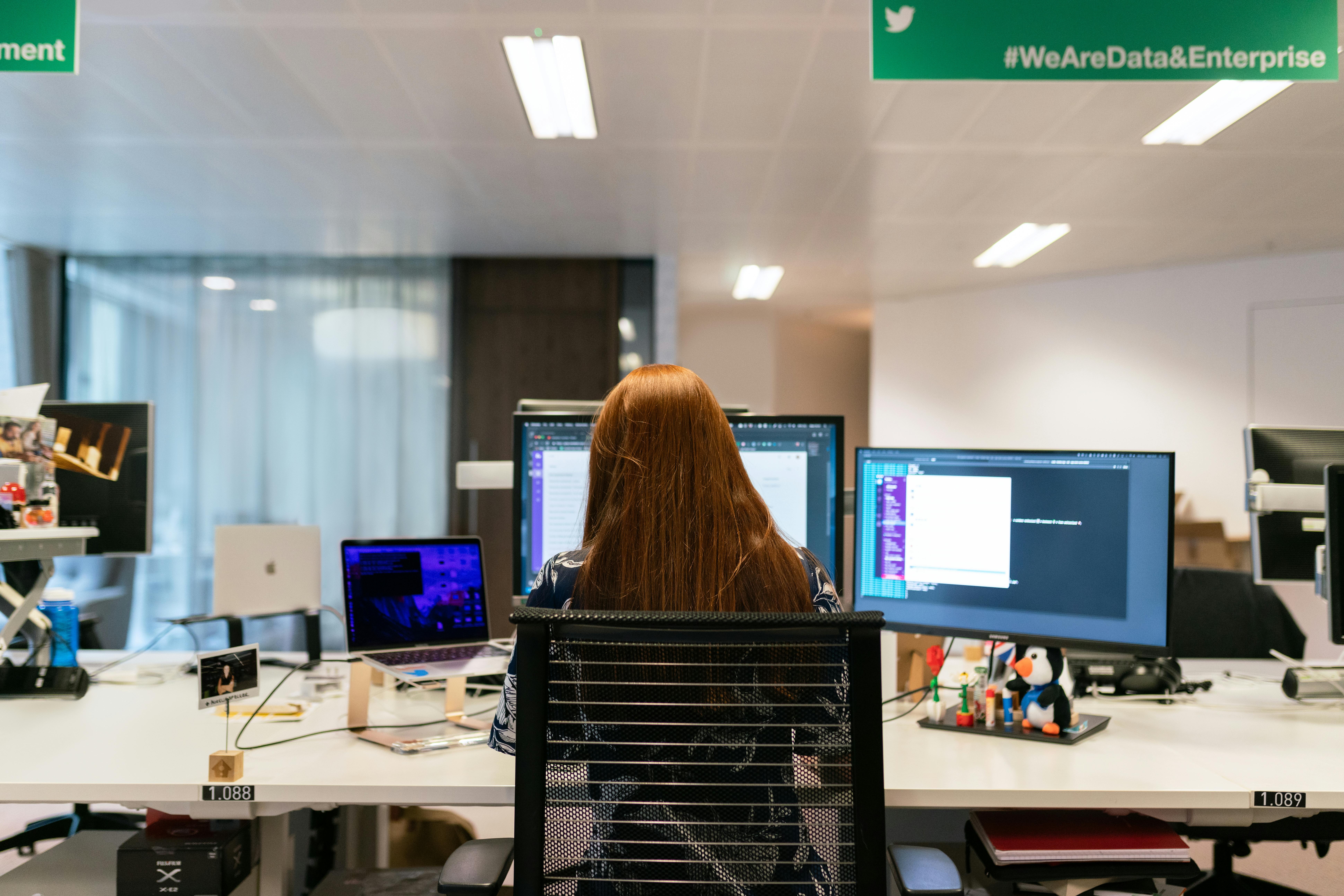 Enterprise Software Development